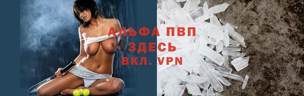 трава Аркадак