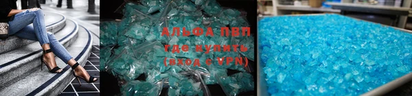 трава Аркадак