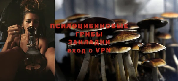 тгк Армянск