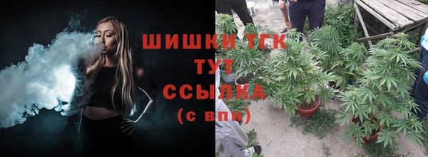 тгк Армянск