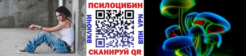 где можно купить   Луза  Псилоцибиновые грибы Psilocybe 
